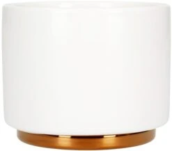 Fellow Monty Milk Art Cup 192 Ml (6.5 Oz)