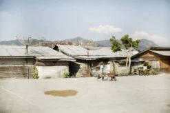 Johan & Nyström Sumatra Gayo Coffee Beans -Coffee Sale Shop johan nystrom sumatra gayo mountain 178